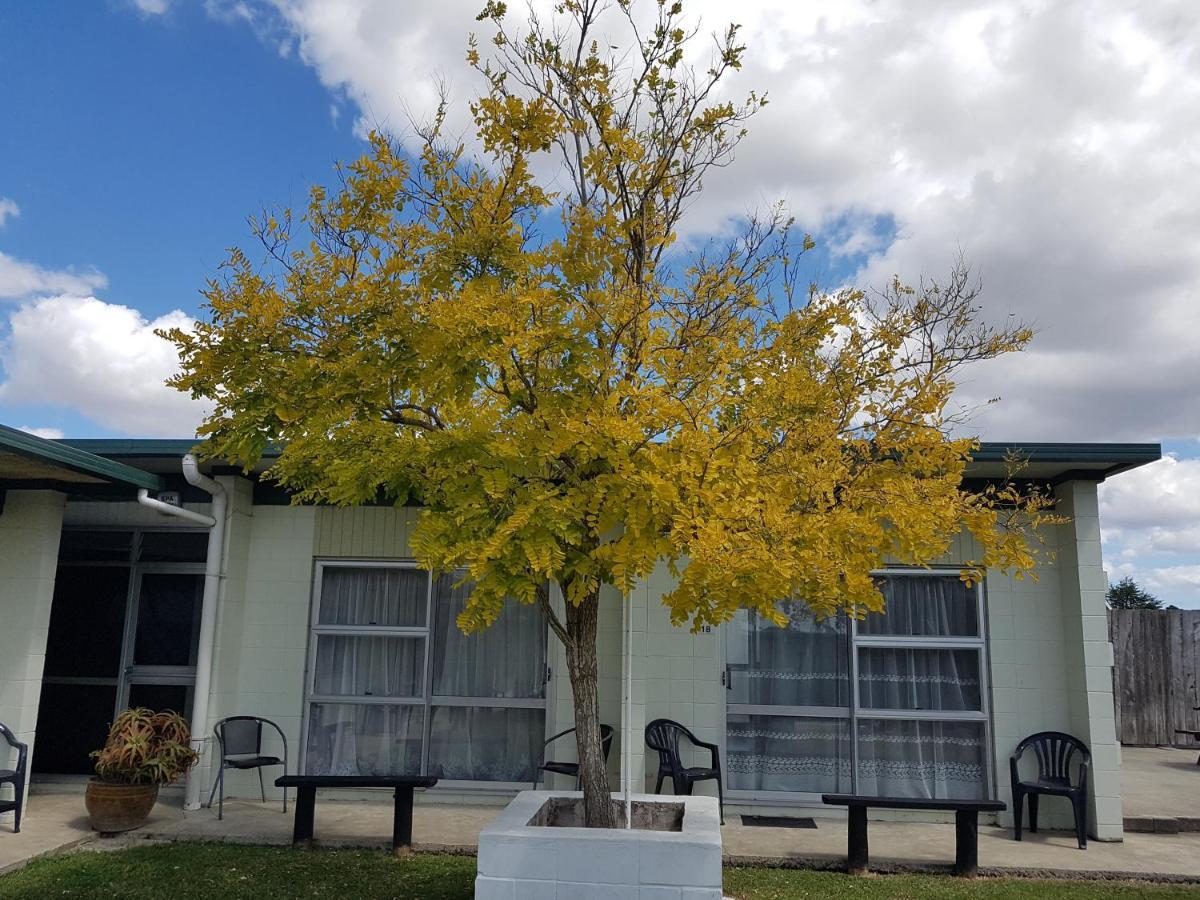 Parkview Motel Dargaville Extérieur photo